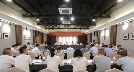苍南:县委书记领办政协重点提案 助力矾山矾矿转型发展