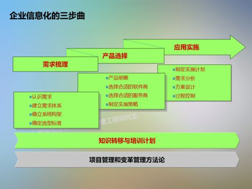 干货 it信息系统项目咨询方法论